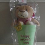 Mothers Day Teddy Bear in Flower Pot